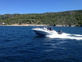 Quicksilver 555